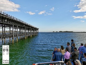 De Muelle Muelle-Muelle Rio Tinto.