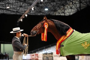 El onubense es uno de los presentadores con mayor proyección en la actualidad. Momento en el que fue proclamado Campeón del Mundo. / Foto: Alberto Martínez Bracero.