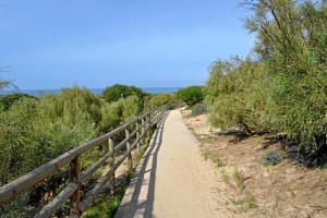 El carril de Los Enebrales discurre por la línea de costa. /  Foto: Junta de Andalucía.