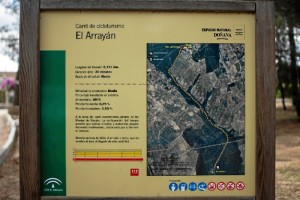 'El Arrayán', una ruta que discurre por el monte de Hinojos. / Foto: Junta de Andalucía.