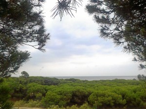 Este carril entre La Bota y El Portil nos invita a disfrutar de un precioso paisaje natural. / Foto: Junta de Andalucía.