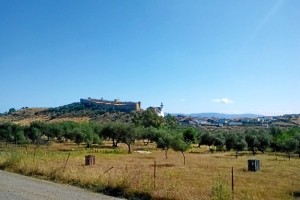 Desde el carril puede disfrutarse de una bella panorámica del Castillo de Santa Olalla. / Foto: Junta de Andalucía.