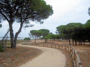 Parte del trazado del carril de 'La Ribera' de Punta Umbría. / Foto: Junta de Andalucía.