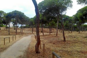 'Salinas del Astur' completa el itinenario de carriles bicis de Punta Umbría. / Foto: Junta de Andalucía.