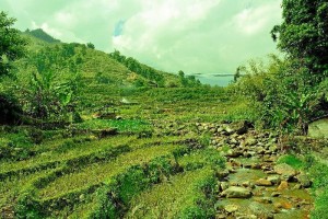 Visita a Lao Chai, poblado de la etnia Hmong.