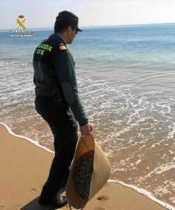 Las coquinas han sido devueltas al mar.