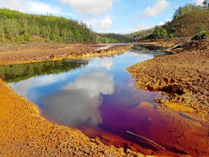 Uno de los cursos está dedicado a la formación de Guía Turístico de la Naturaleza e Interpretación del Paisaje Protegido del Río Tinto, se realizará en Moguer.