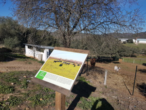 Las jornadas se celebran en el Centro de Interpretación del Andévalo en el Huerto Ramírez.