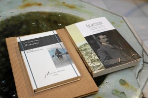 Muestra de los dos libros presentados. 