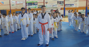 Un momento del  Encuentro Taekwondo Kuroi celebrado en La Palma del Condado.