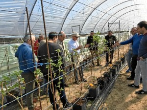 Visita CRPalos a FNM (1)