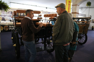 cartaya inauguracion feria caballo 2018