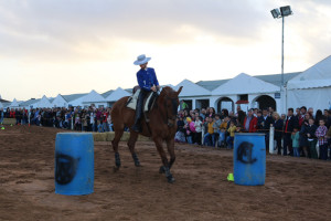 Gran interés en las exhibiciones ecuestres.