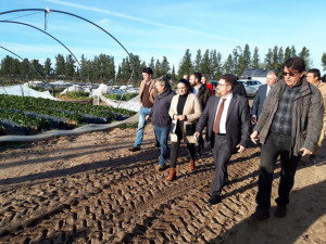 Rodrigo Sánchez Haro ha recorrido campos de Almonte para comprobar los daños ocasionados por el temporal.