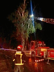 Actuación de los Bomberos.