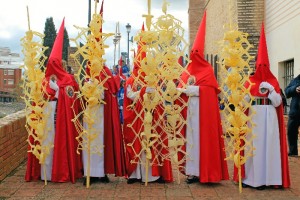 Palmas rizadas características de la Hermandad.