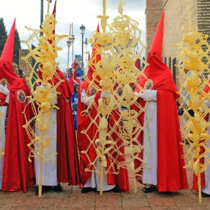 Palmas rizadas características de la Hermandad.