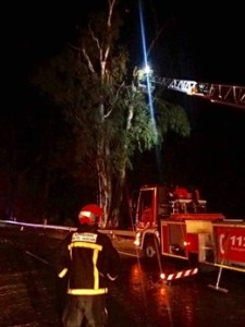 Intervención de los Bomberos del municipio para acondicionar la carretera, esta noche.