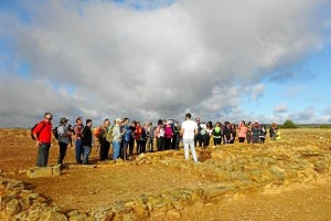 Tejada la Vieja fue declarada Bien de Interés Cultural con la categoría de Zona Arqueológica en 2007.