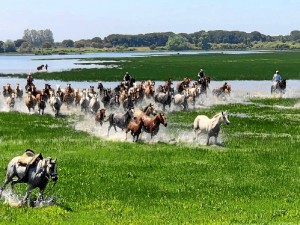 Un enclave de una gran riqueza medioambiental.