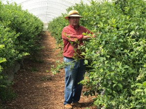 Francisco lleva desde los nueve años trabajando el campo.