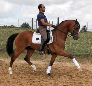 El jinete beasino Luis Carlos García Domínguez.