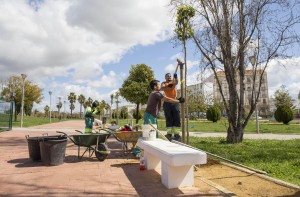 Plantaciones Antonio Machado 4 (1)