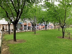 Preparativos de la Feria.