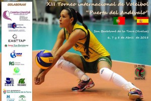 Cartel del torneo de voleibol que tiene lugar este fin de semana en San Bartolomé de la Torre.