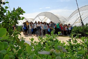 Colegio Hermanos Pinzón. 