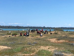 El Paraje Natural Marismas del Odiel ha llevado a cabo un control de la planta invasora onagra costera (oenothera drummondii) a través de un grupo de 40 voluntarios en el ámbito de la Reserva de la Biosfera.