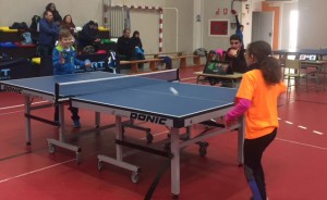 El domingo concluye en Ayamonte la Liga Provincial de Tenis de Mesa.