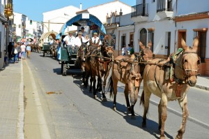 181015 Salida Hermandad de San Juan del Puerto_7