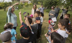 Han participado niños de Primaria.