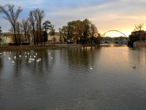 "En Wroclaw hay muchos parques, numerosas iglesias, y en particular, múltiples islas y por lo tanto puentes; el río Odra cruza toda la ciudad", comenta Violeta.