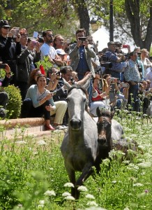 Recreación de la saca de las yeguas con la que se inauguró la Feria, cuya belleza y espectacularidad atrajo la atención de miles de personas.