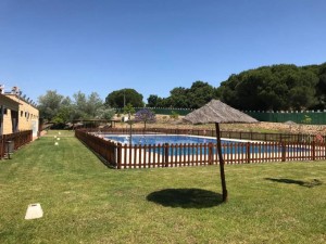 La piscina se convierte en una zona de reunión.