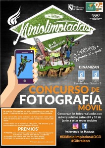 cartel concurso fotos minis 18