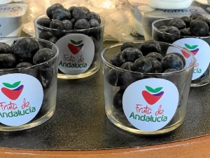 El compromiso de Fruta de Andalucía en la promoción del arándano es firme.