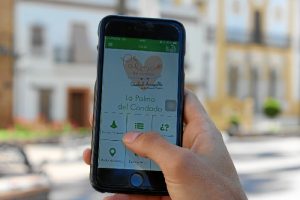 Para poder utilizar este nuevo  servicio es necesario proceder a la descarga de la APP Línea Verde.