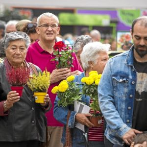 Mercado de las Flores y las Plantas