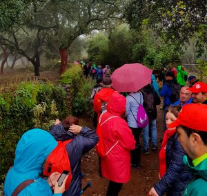 A pesar de la lluvia, unos 420 aficionados estuvieron en la Concentración Senderista 'Ciudad de Aracena'.