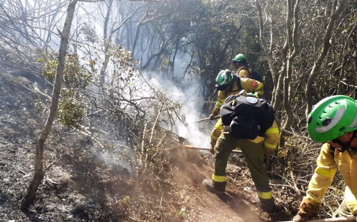 Extinguido el incendio forestal declarado ayer en Aracena