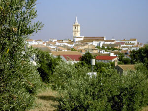 Feria del Aceite