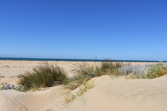 playa de La Bota