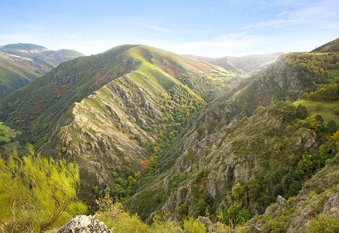 Fuentes del Narcea