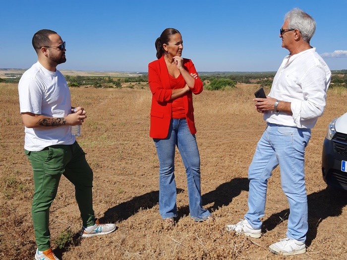 yacimiento arqueológico de Tejada la Vieja