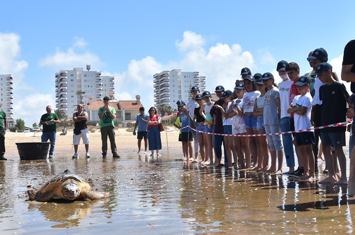 suelta de una tortuga