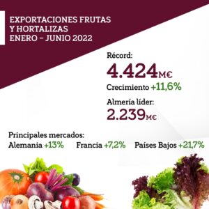 exportación de frutas y hortalizas