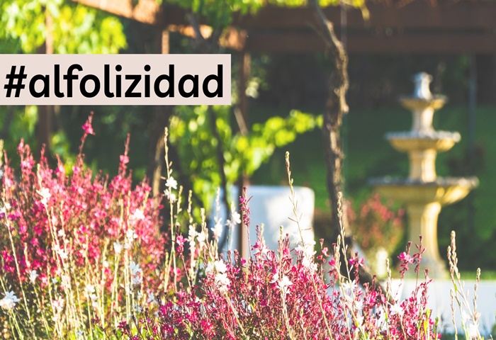 #alfolizidad